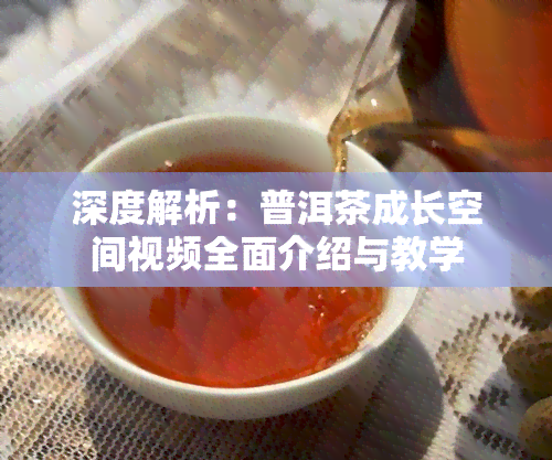 深度解析：普洱茶成长空间视频全面介绍与教学