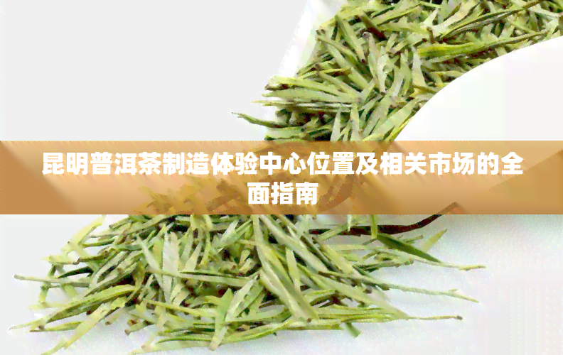 昆明普洱茶制造体验中心位置及相关市场的全面指南