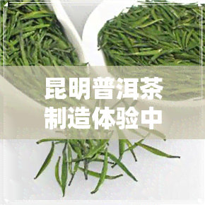 昆明普洱茶制造体验中心-昆明普洱茶制造体验中心地址