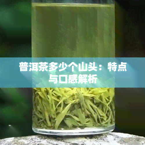 普洱茶多少个山头：特点与口感解析