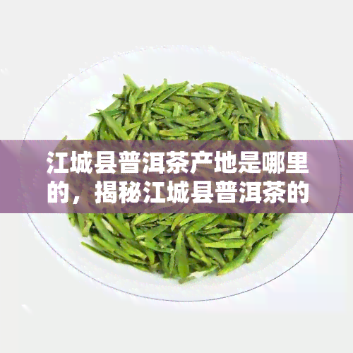 江城县普洱茶产地是哪里的，揭秘江城县普洱茶的产地在哪里？