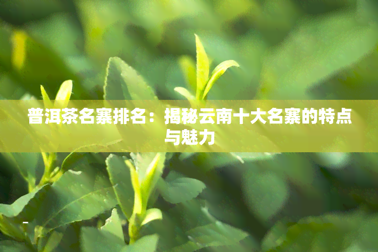 普洱茶名寨排名：揭秘云南十大名寨的特点与魅力