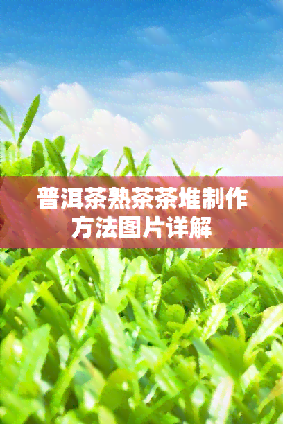 普洱茶熟茶茶堆制作方法图片详解