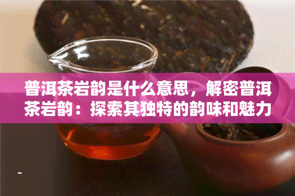 普洱茶岩韵是什么意思，解密普洱茶岩韵：探索其独特的韵味和魅力