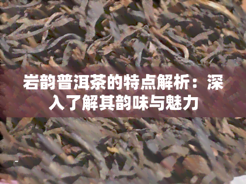 岩韵普洱茶的特点解析：深入了解其韵味与魅力