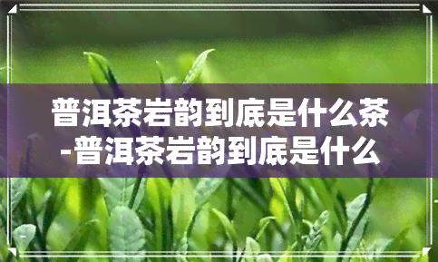 普洱茶岩韵到底是什么茶-普洱茶岩韵到底是什么茶叶