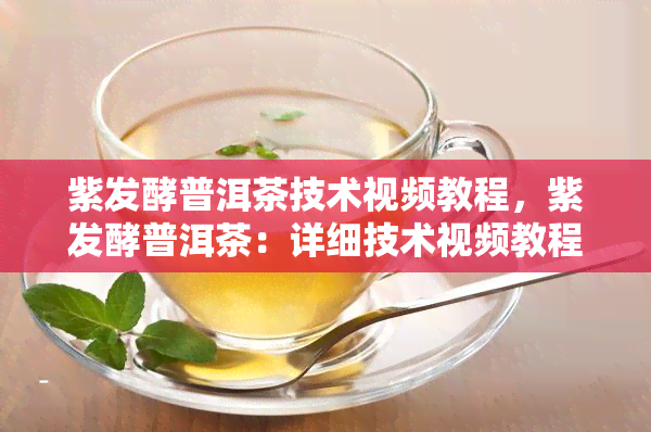 紫发酵普洱茶技术视频教程，紫发酵普洱茶：详细技术视频教程