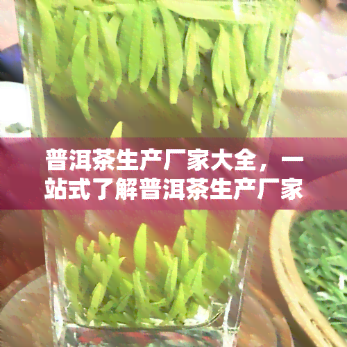 普洱茶生产厂家大全，一站式了解普洱茶生产厂家：大全一览