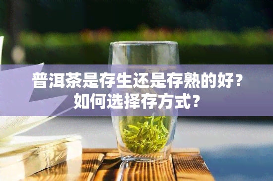 普洱茶是存生还是存熟的好？如何选择存方式？