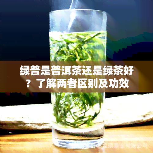 绿普是普洱茶还是绿茶好？了解两者区别及功效