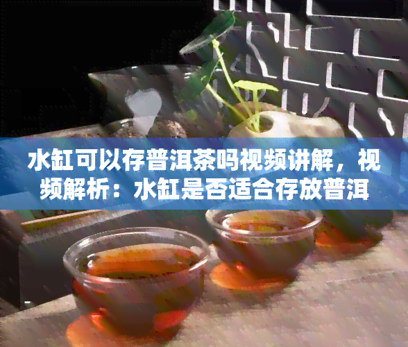 水缸可以存普洱茶吗视频讲解，视频解析：水缸是否适合存放普洱茶？