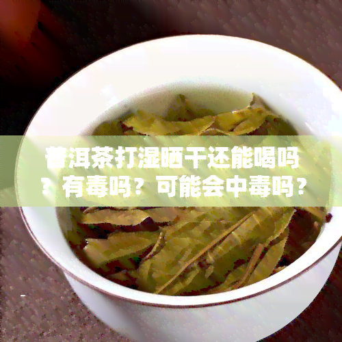 普洱茶打湿晒干还能喝吗？有吗？可能会中吗？