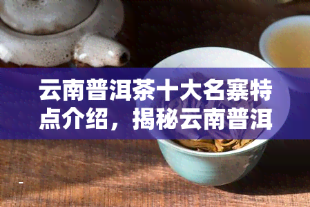 云南普洱茶十大名寨特点介绍，揭秘云南普洱茶十大名寨的独特魅力与特点