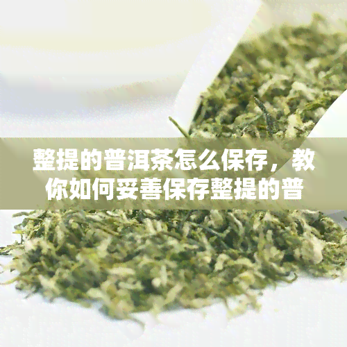 整提的普洱茶怎么保存，教你如何妥善保存整提的普洱茶