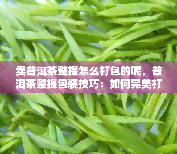 卖普洱茶整提怎么打包的呢，普洱茶整提包装技巧：如何完美打包你的茶叶？