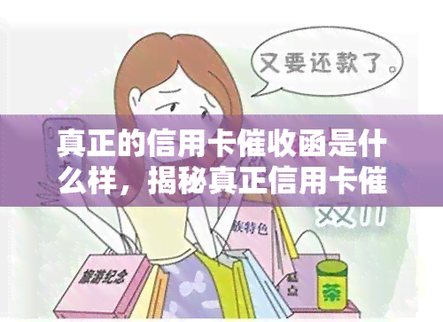 真正的信用卡函是什么样，揭秘真正信用卡函的真面目