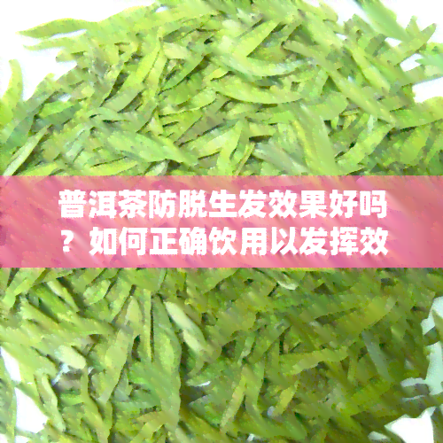 普洱茶防脱生发效果好吗？如何正确饮用以发挥效果？