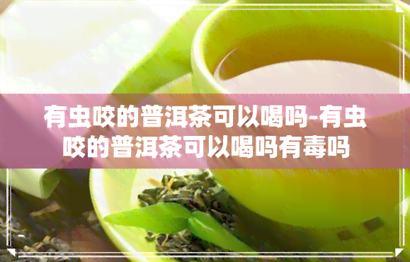 有虫咬的普洱茶可以喝吗-有虫咬的普洱茶可以喝吗有吗