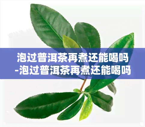 泡过普洱茶再煮还能喝吗-泡过普洱茶再煮还能喝吗有吗