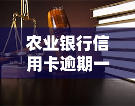 农业银行信用卡逾期一天的影响：新法规及解决办法