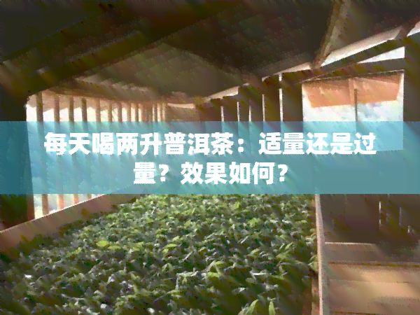 每天喝两升普洱茶：适量还是过量？效果如何？