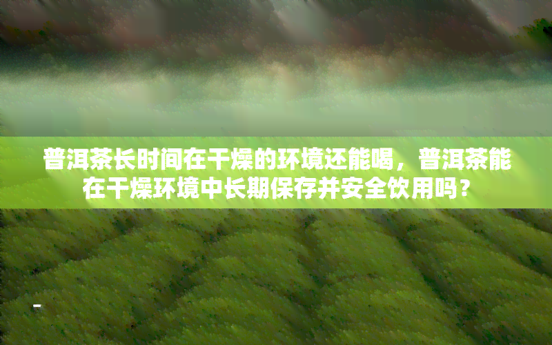 普洱茶长时间在干燥的环境还能喝，普洱茶能在干燥环境中长期保存并安全饮用吗？