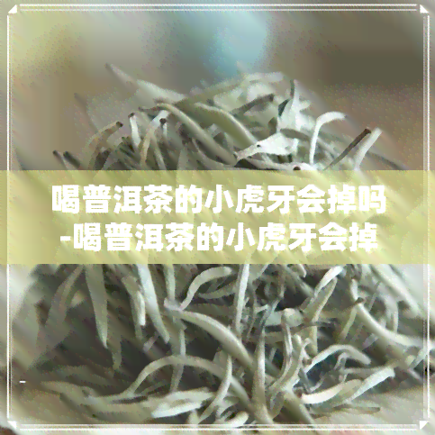 喝普洱茶的小虎牙会掉吗-喝普洱茶的小虎牙会掉吗图片