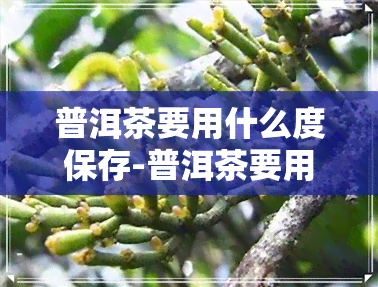 普洱茶要用什么度保存-普洱茶要用什么度保存