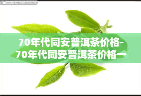 70年代同安普洱茶价格-70年代同安普洱茶价格一样吗