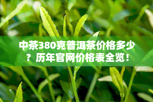 中茶380克普洱茶价格多少？历年官网价格表全览！