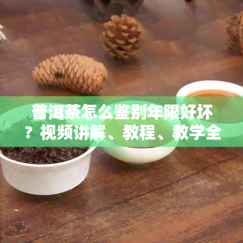 普洱茶怎么鉴别年限好坏？视频讲解、教程、教学全攻略！