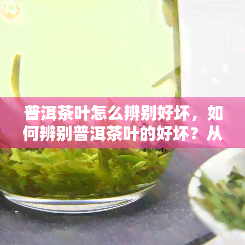 普洱茶叶怎么辨别好坏，如何辨别普洱茶叶的好坏？从这几个方面入手！