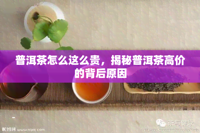 普洱茶怎么这么贵，揭秘普洱茶高价的背后原因