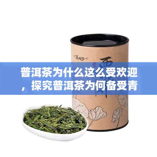 普洱茶为什么这么受欢迎，探究普洱茶为何备受青睐：揭开其独特魅力的神秘面纱