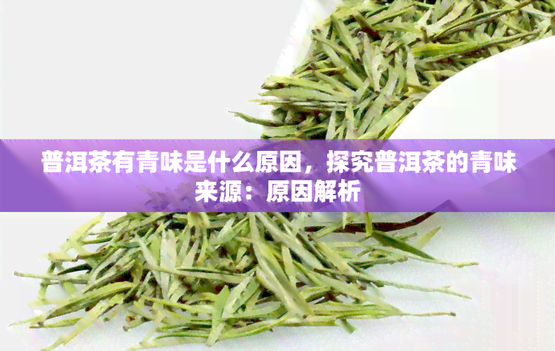 普洱茶有青味是什么原因，探究普洱茶的青味来源：原因解析