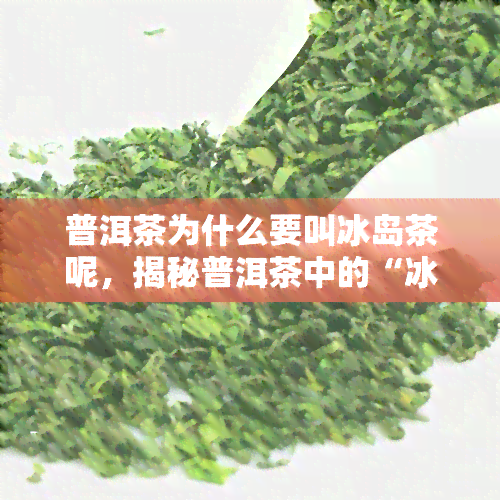 普洱茶为什么要叫冰岛茶呢，揭秘普洱茶中的“冰岛”之名的由来