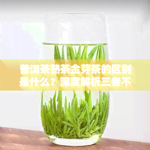 普洱茶熟茶金芽茶的区别是什么？深度解析三者不同之处