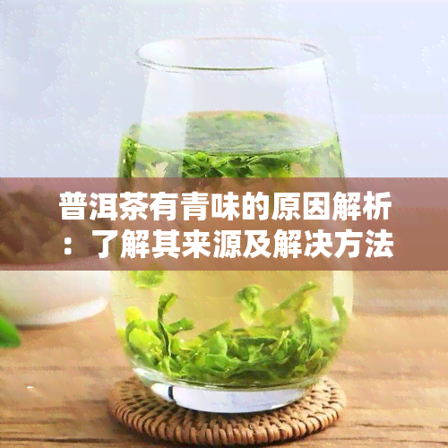 普洱茶有青味的原因解析：了解其来源及解决方法