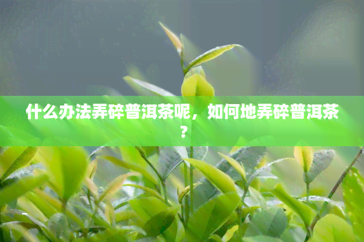 什么办法弄碎普洱茶呢，如何地弄碎普洱茶？