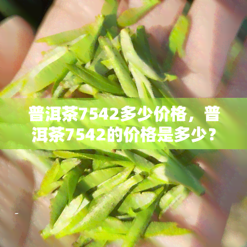 普洱茶7542多少价格，普洱茶7542的价格是多少？