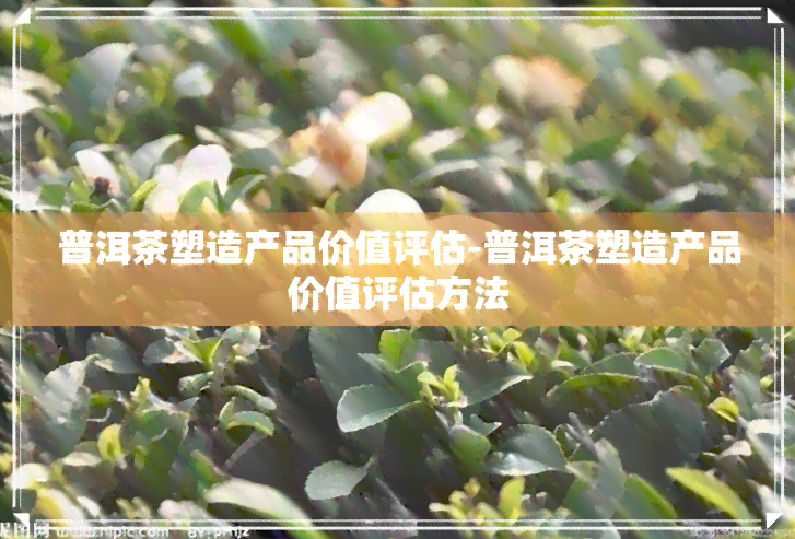 普洱茶塑造产品价值评估-普洱茶塑造产品价值评估方法