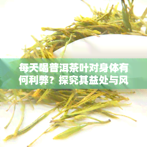 每天喝普洱茶叶对身体有何利弊？探究其益处与风险