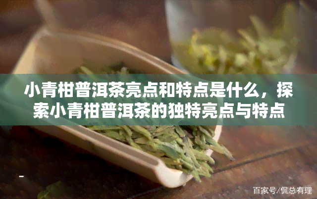 小青柑普洱茶亮点和特点是什么，探索小青柑普洱茶的独特亮点与特点