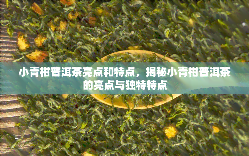 小青柑普洱茶亮点和特点，揭秘小青柑普洱茶的亮点与独特特点