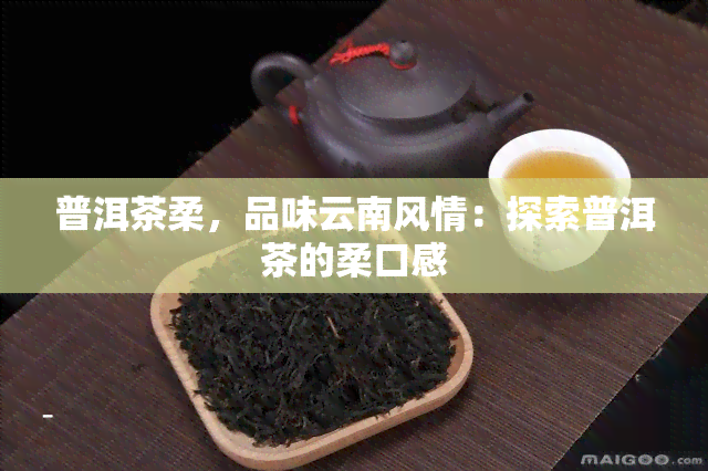 普洱茶柔，品味云南风情：探索普洱茶的柔口感