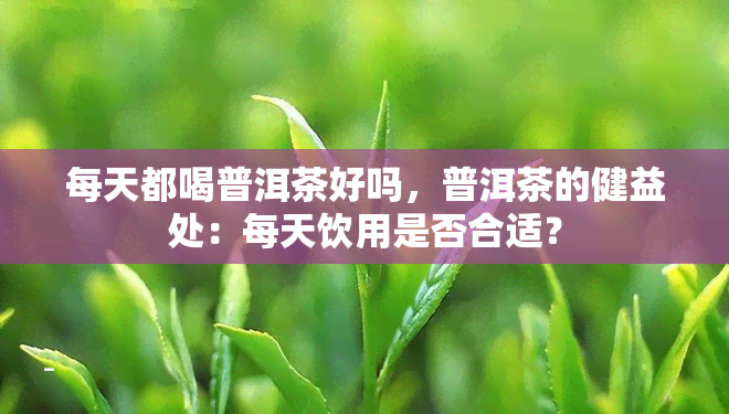 每天都喝普洱茶好吗，普洱茶的健益处：每天饮用是否合适？