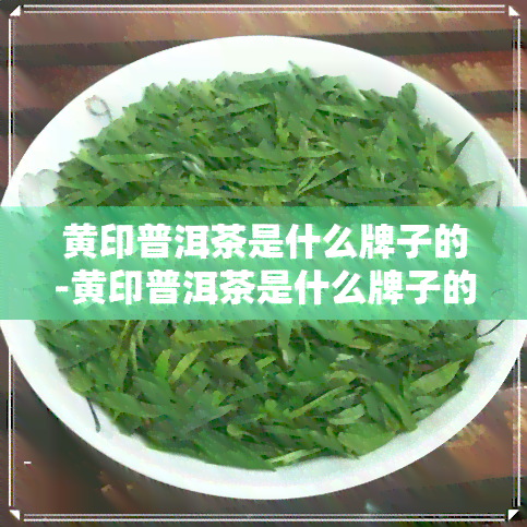 黄印普洱茶是什么牌子的-黄印普洱茶是什么牌子的好