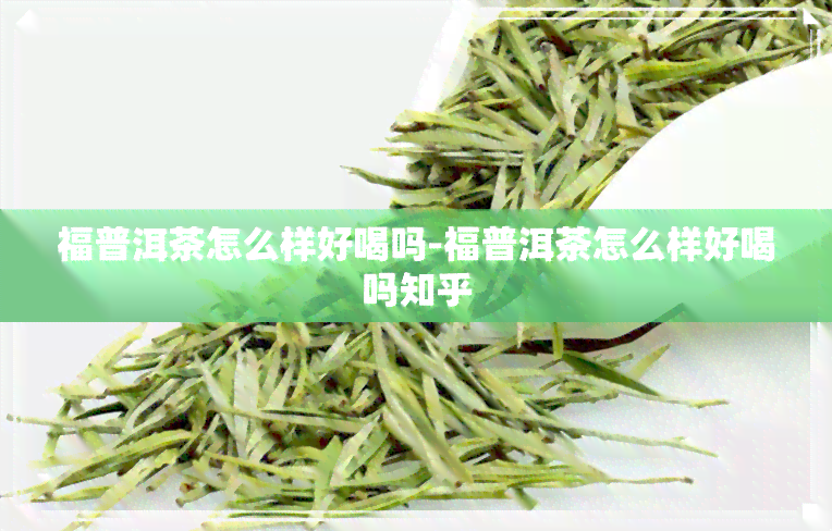 福普洱茶怎么样好喝吗-福普洱茶怎么样好喝吗知乎