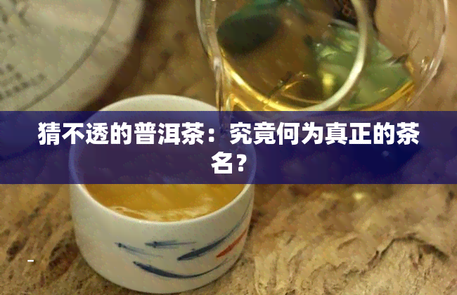 猜不透的普洱茶：究竟何为真正的茶名？