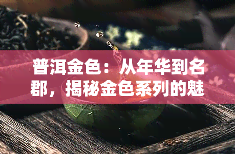 普洱金色：从年华到名郡，揭秘金色系列的魅力与实力